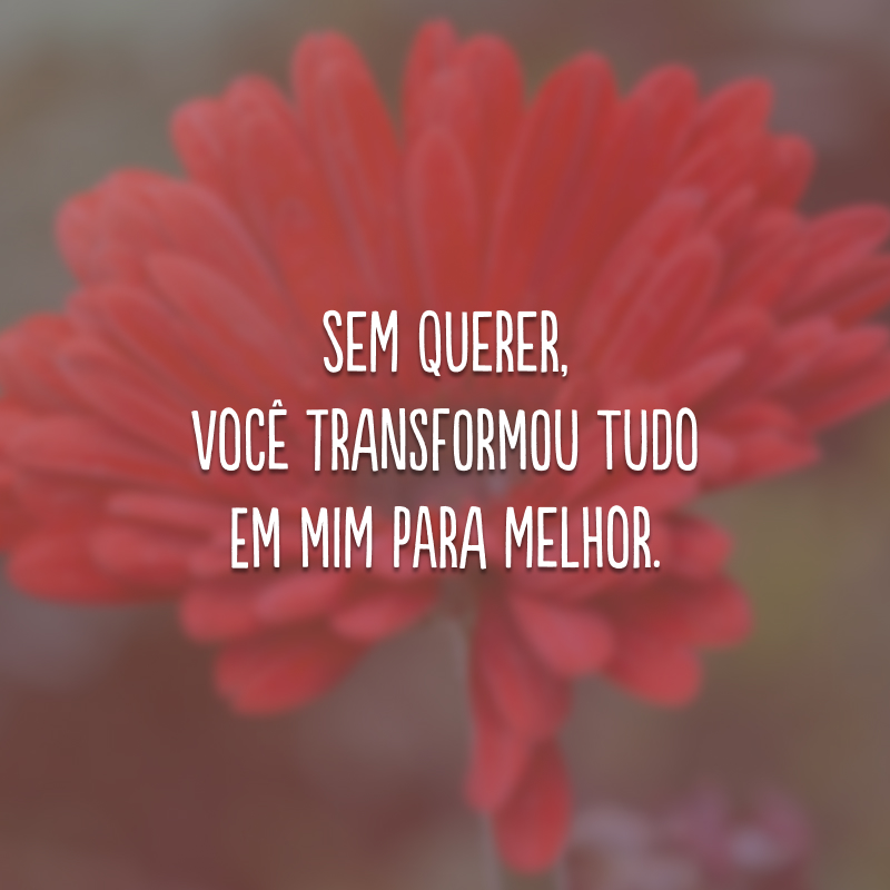 Sem querer, você transformou tudo em mim para melhor.