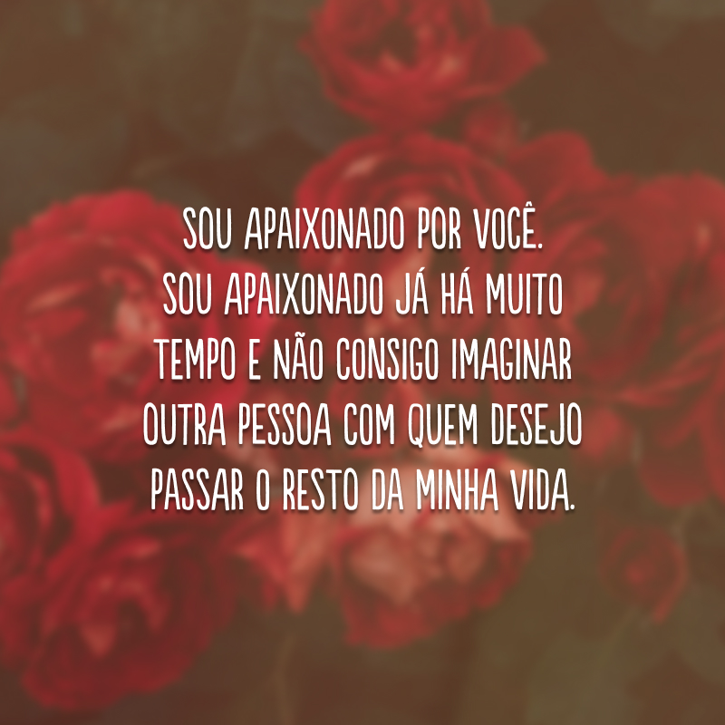 Sou apaixonado por você. Sou apaixonado já há muito tempo e não consigo imaginar outra pessoa com quem desejo passar o resto da minha vida.