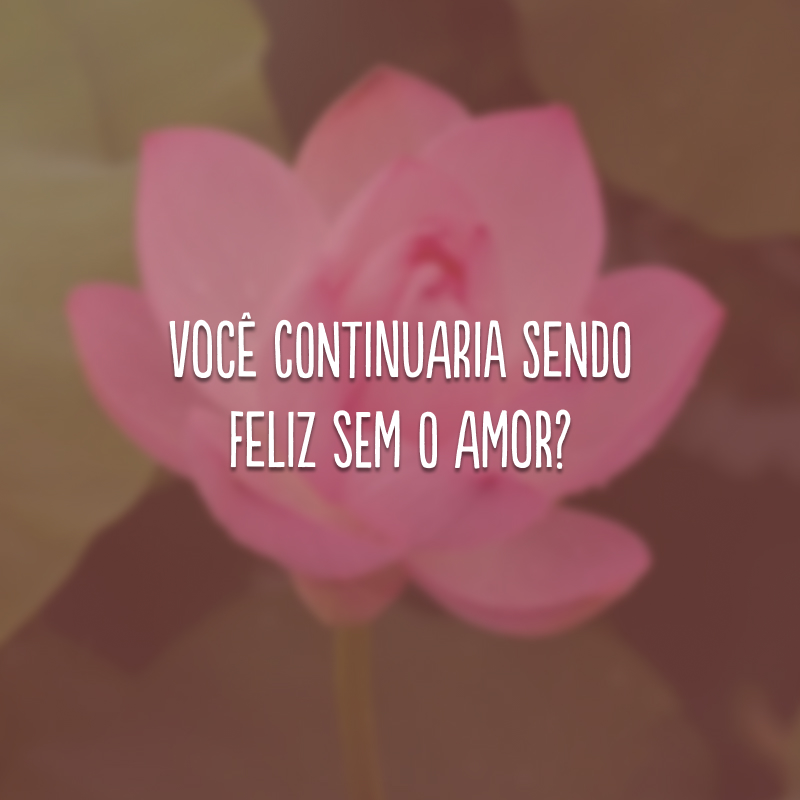 Você continuaria sendo feliz sem o amor?
