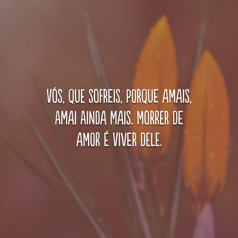 Vós, que sofreis, porque amais, amai ainda mais. Morrer de amor é viver dele.