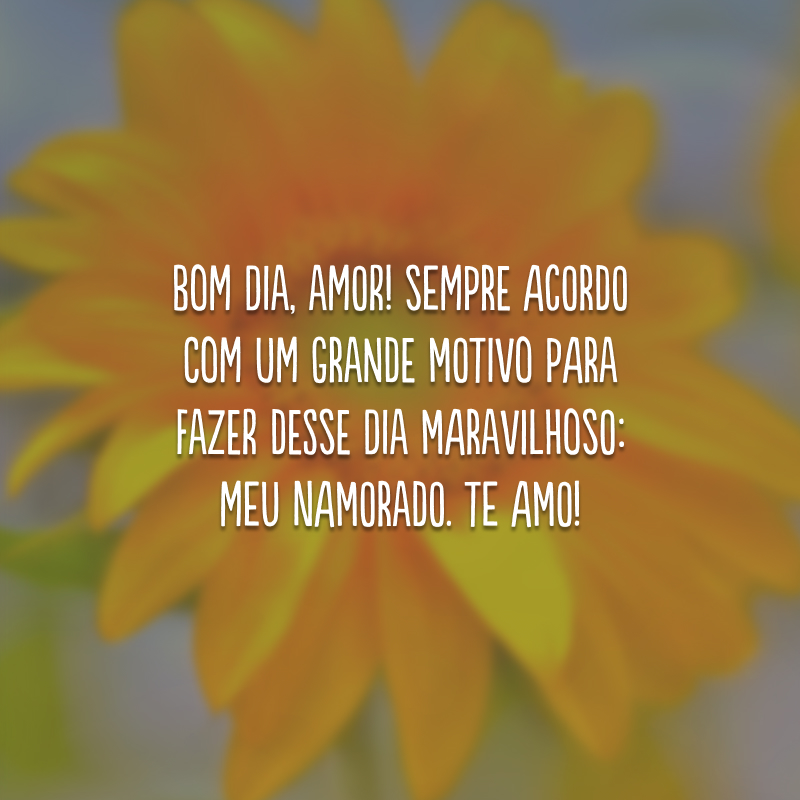 Bom dia, amor! Sempre acordo com um grande motivo para fazer desse dia maravilhoso: meu namorado. Te amo!