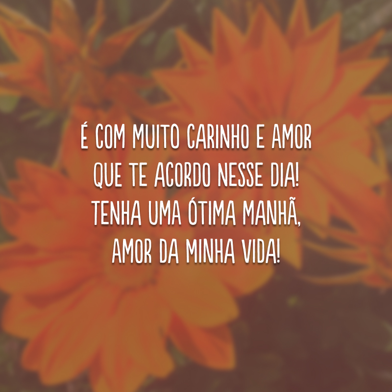 É com muito carinho e amor que te acordo nesse dia! Tenha uma ótima manhã, amor da minha vida!
