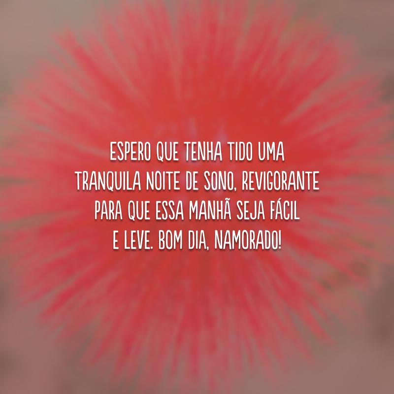 Espero que tenha tido uma tranquila noite de sono, revigorante para que essa manhã seja fácil e leve. Bom dia, namorado!