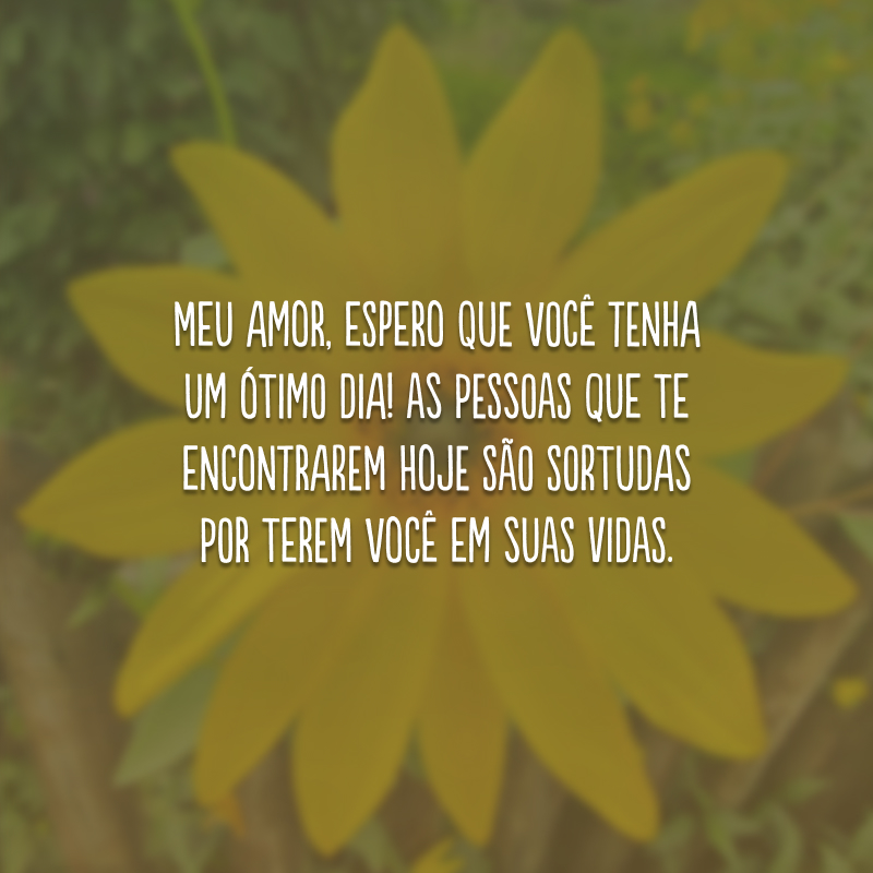 Meu amor, espero que você tenha um ótimo dia! As pessoas que te encontrarem hoje são sortudas por terem você em suas vidas.