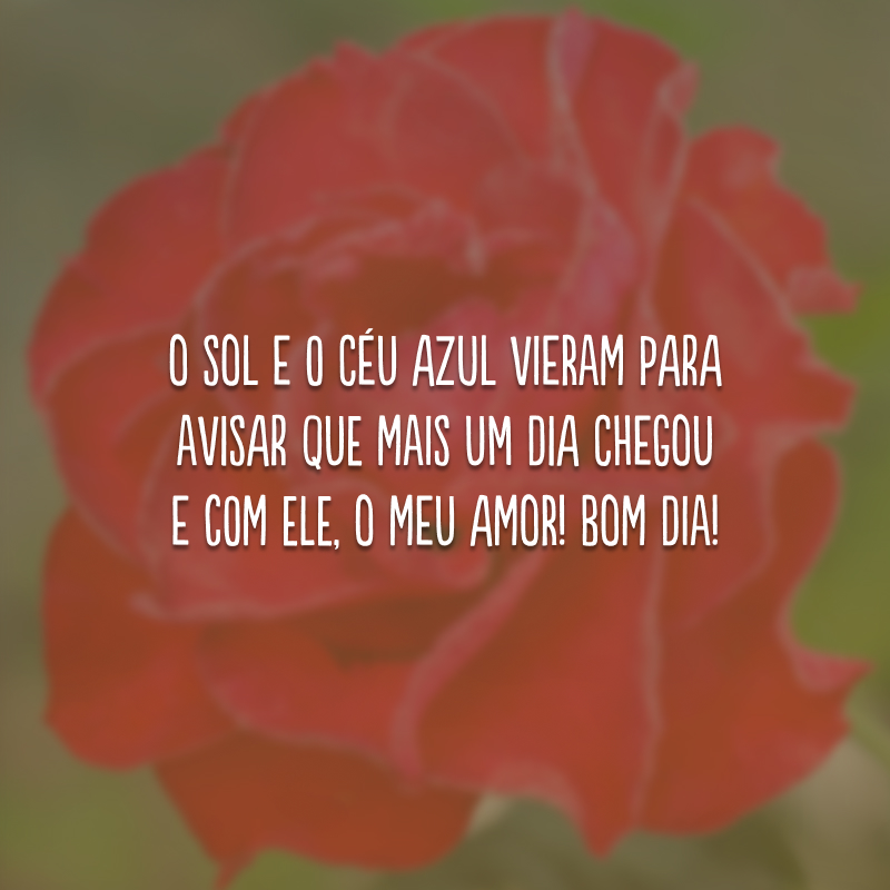 O sol e o céu azul vieram para avisar que mais um dia chegou e com ele, o meu amor! Bom dia!