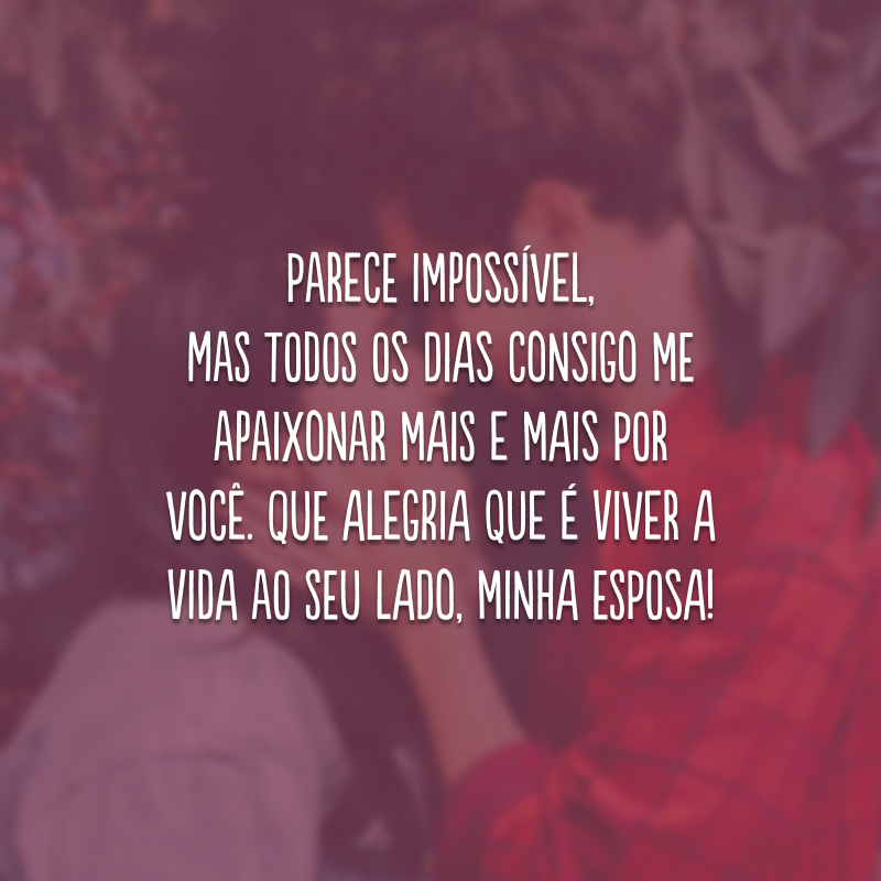 Parece impossível, mas todos os dias consigo me apaixonar mais e mais por você. Que alegria que é viver a vida ao seu lado, minha esposa!