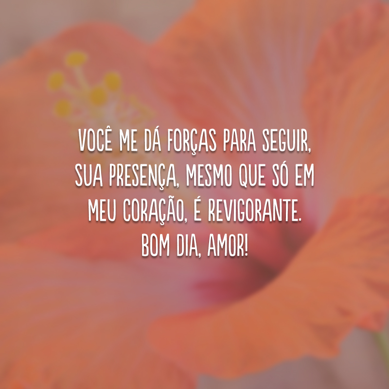 Você me dá forças para seguir, sua presença, mesmo que só em meu coração, é revigorante. Bom dia, amor!
