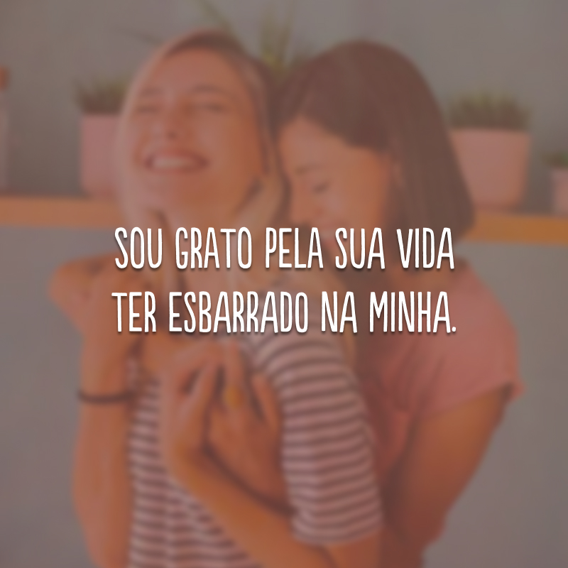 Sou grato pela sua vida ter esbarrado na minha.
