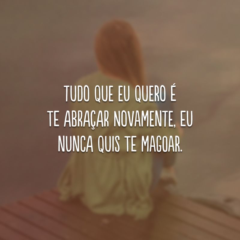 Tudo que eu quero é te abraçar novamente, eu nunca quis te magoar.