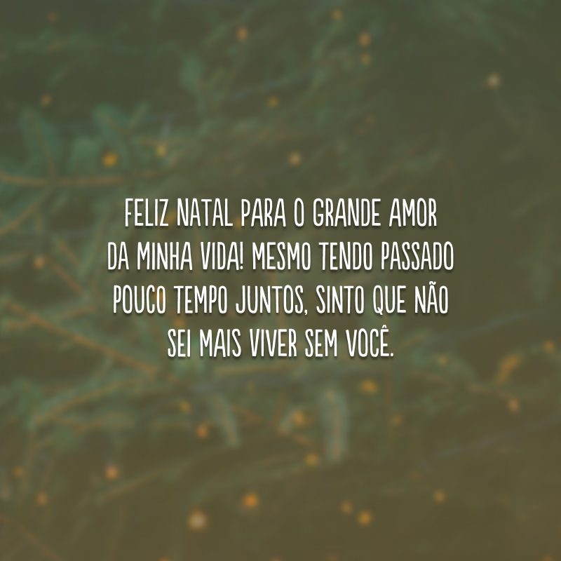 Feliz Natal para o grande amor da minha vida! Mesmo tendo passado pouco tempo juntos, sinto que não sei mais viver sem você.