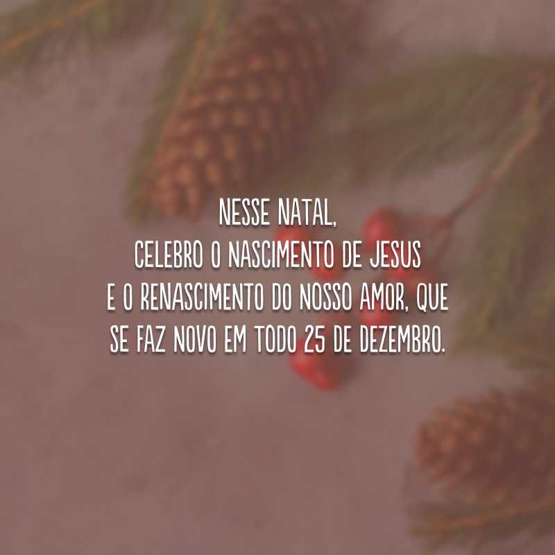 Nesse Natal, celebro o nascimento de Jesus e o renascimento do nosso amor, que se faz novo em todo 25 de dezembro.