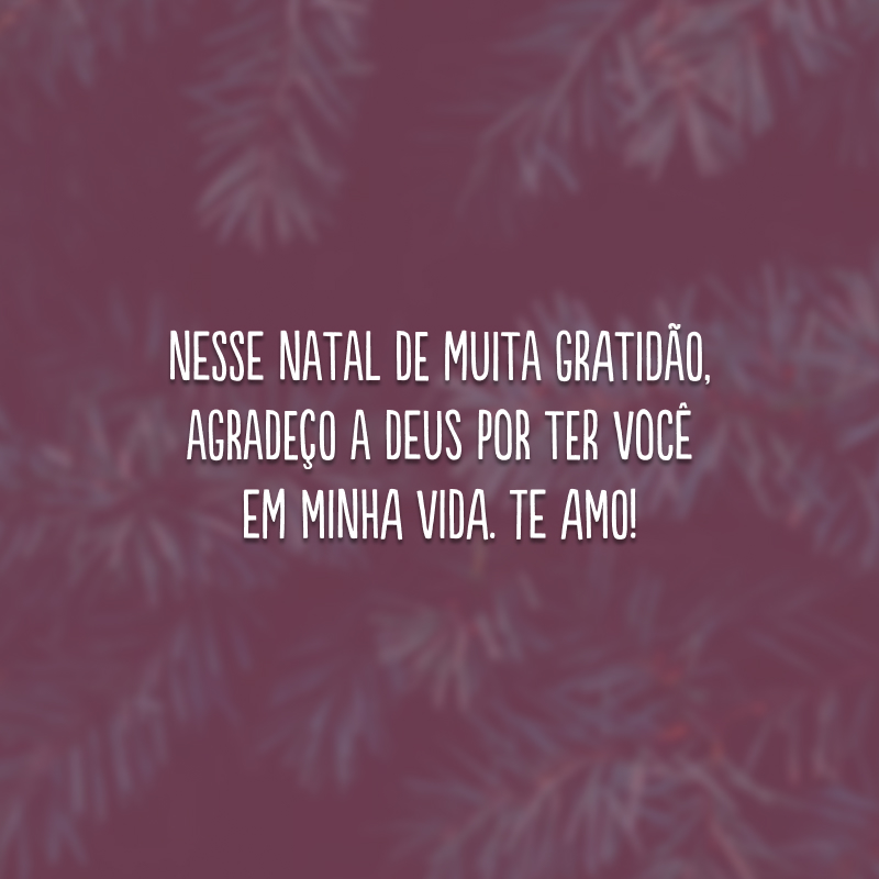 Nesse Natal de muita gratidão, agradeço a Deus por ter você em minha vida. Te amo!