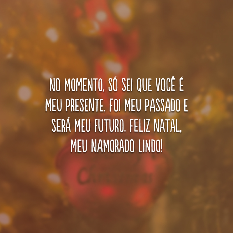 No momento, só sei que você é meu presente, foi meu passado e será meu futuro. Feliz Natal, meu namorado lindo!