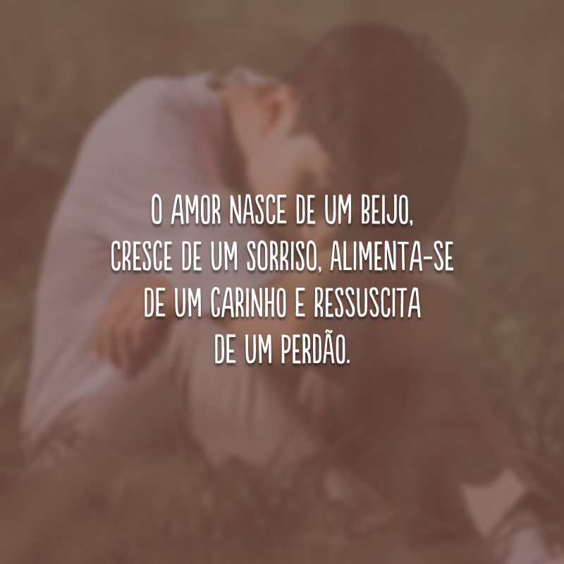 O amor nasce de um beijo, cresce de um sorriso, alimenta-se de um carinho e ressuscita de um perdão.