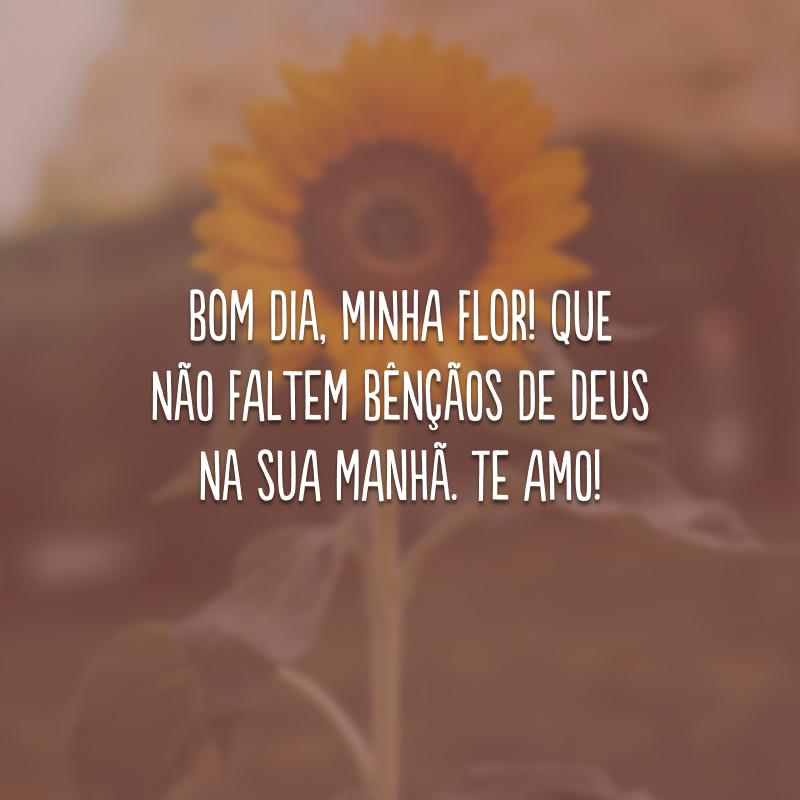 Bom dia, minha flor! Que não faltem bênçãos de Deus na sua manhã. Te amo!