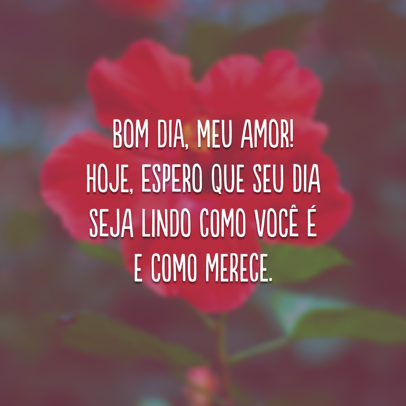 Bom dia, meu amor! Hoje, espero que seu dia seja lindo como você é e como merece.