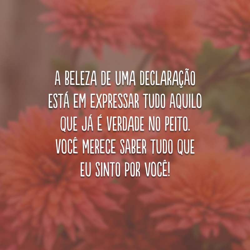 A beleza de uma declaração está em expressar tudo aquilo que já é verdade no peito. Você merece saber tudo que eu sinto por você!