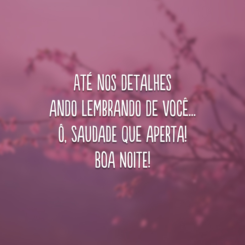 Até nos detalhes ando lembrando de você... Ô, saudade que aperta! Boa noite!