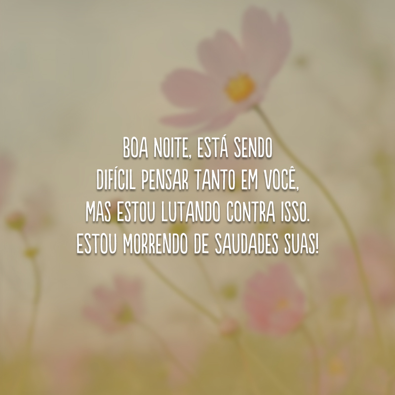 Boa noite, está sendo difícil pensar tanto em você, mas estou lutando contra isso. Estou morrendo de saudades suas!