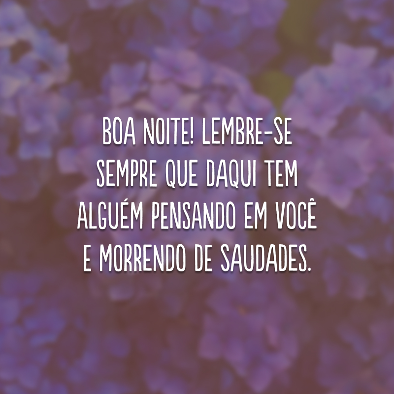 Boa noite! Lembre-se sempre que daqui tem alguém pensando em você e morrendo de saudades.