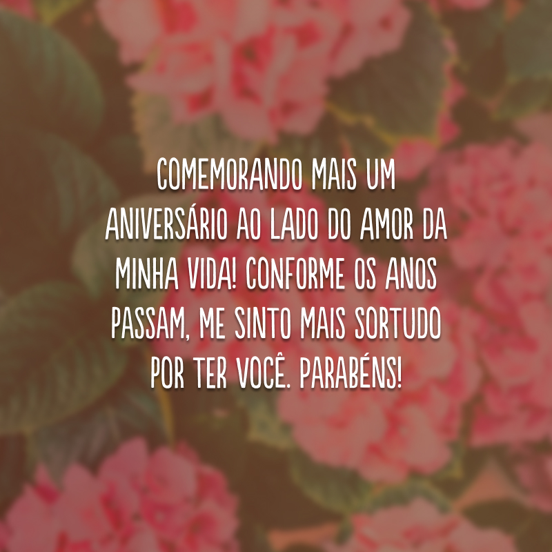 Comemorando mais um aniversário ao lado do amor da minha vida! Conforme os anos passam, me sinto mais sortudo por ter você. Parabéns! 