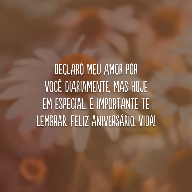 Declaro meu amor por você diariamente, mas hoje em especial, é importante te lembrar. Feliz aniversário, vida!