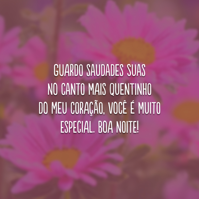 Guardo saudades suas no canto mais quentinho do meu coração, você é muito especial. Boa noite!