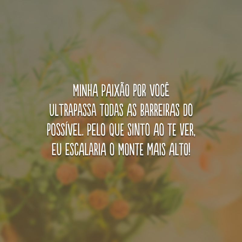 Minha paixão por você ultrapassa todas as barreiras do possível. Pelo que sinto ao te ver, eu escalaria o monte mais alto!