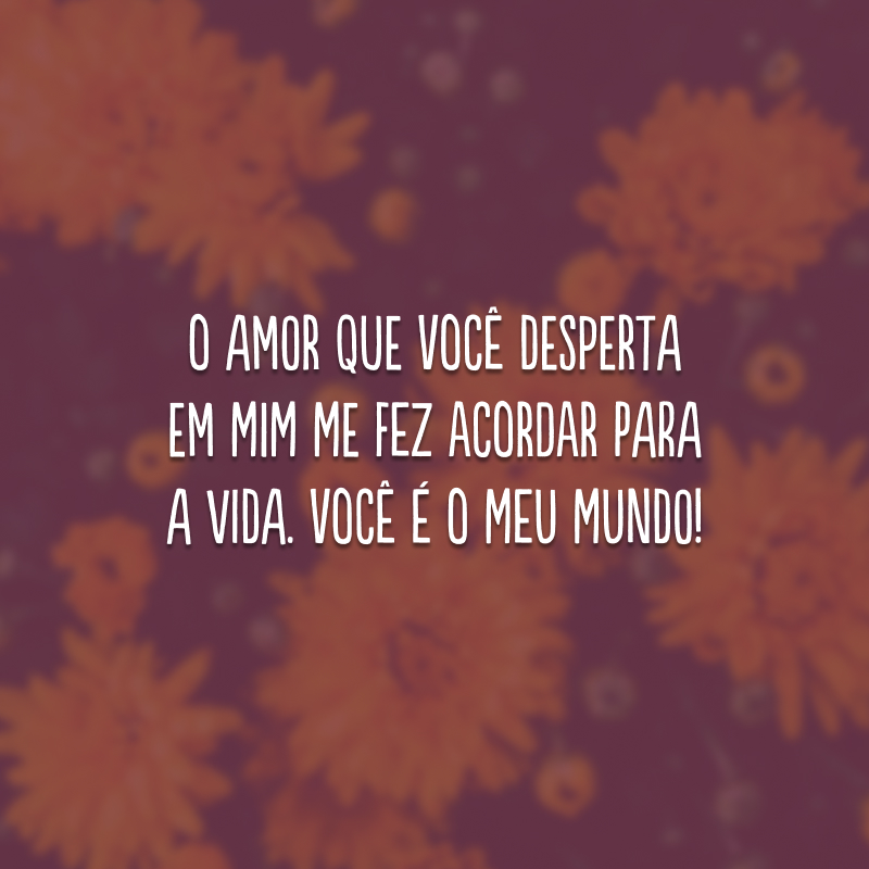 O amor que você desperta em mim me fez acordar para a vida. Você é o meu mundo!