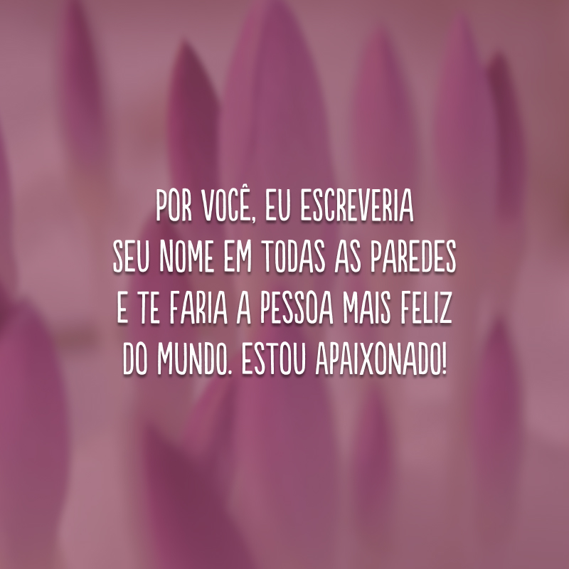 Por você, eu escreveria seu nome em todas as paredes e te faria a pessoa mais feliz do mundo. Estou apaixonado!