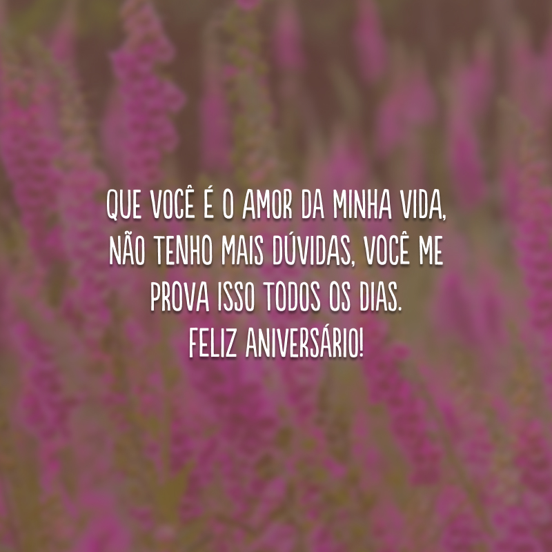 Que você é o amor da minha vida, não tenho mais dúvidas, você me prova isso todos os dias. Feliz aniversário!