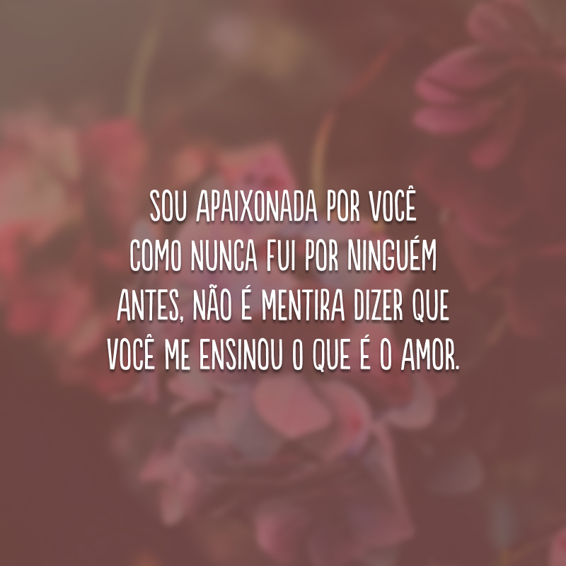 Sou apaixonada por você como nunca fui por ninguém antes, não é mentira dizer que você me ensinou o que é o amor.