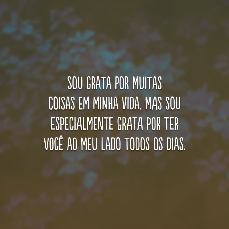 Sou grata por muitas coisas em minha vida, mas sou especialmente grata por ter você ao meu lado todos os dias.