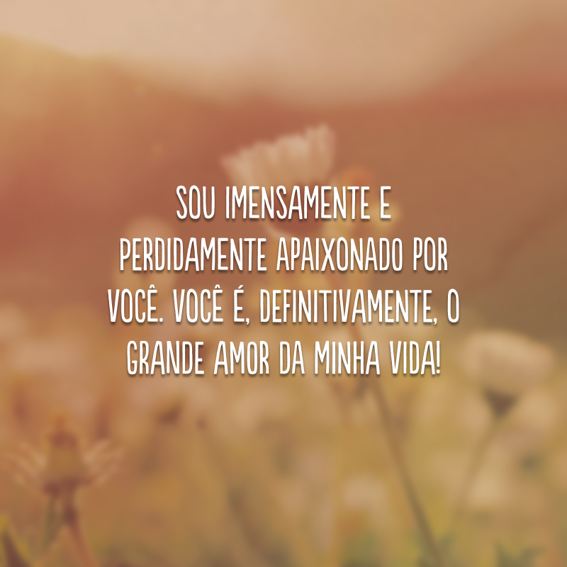 Sou imensamente e perdidamente apaixonado por você. Você é, definitivamente, o grande amor da minha vida!