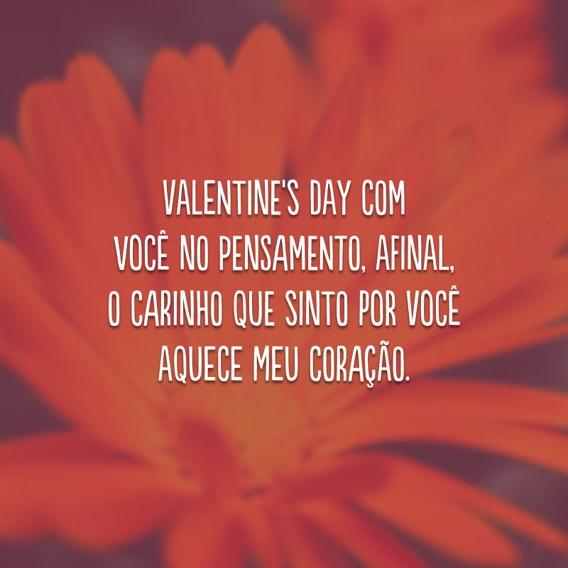 Valentine's Day com você no pensamento, afinal, o carinho que sinto por você aquece meu coração.