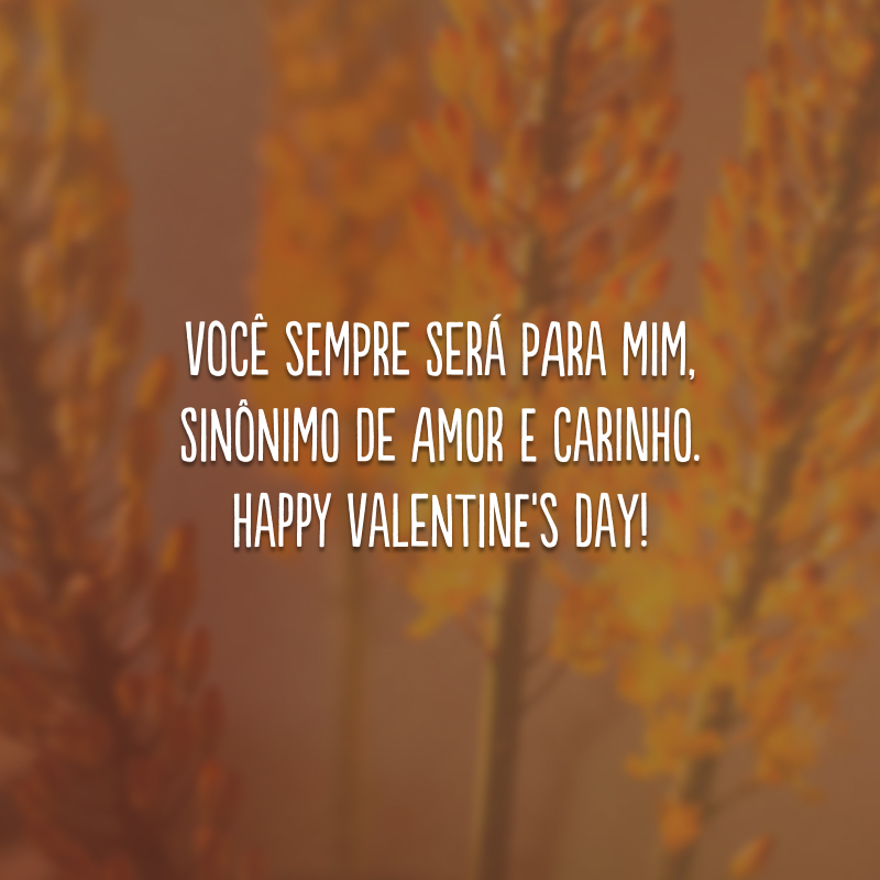 Você sempre será para mim, sinônimo de amor e carinho. Happy Valentine's Day!